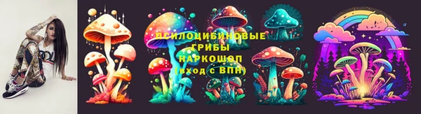 гидра Новозыбков