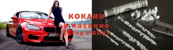 гидра Новозыбков
