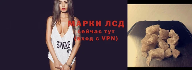 гидра Новозыбков