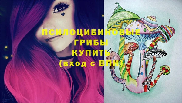 гидра Новозыбков