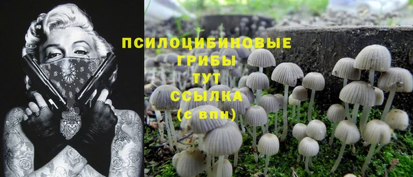 мефедрон Новодвинск