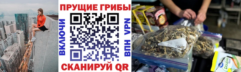 закладка  Калач-на-Дону  Псилоцибиновые грибы мухоморы 