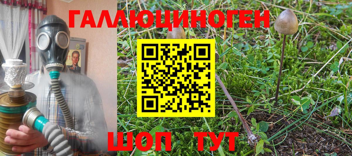 Псилоцибиновые грибы GOLDEN TEACHER  Калач-на-Дону 