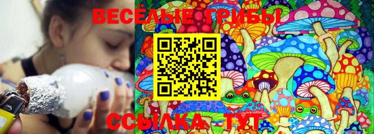 APVP Калач-на-Дону