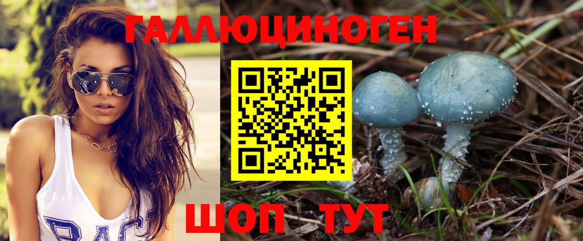 Калач-на-Дону  Галлюциногенные грибы MAGIC MUSHROOMS  Вход с VPN  Псилоцибиновые грибы GOLDEN TEACHER 