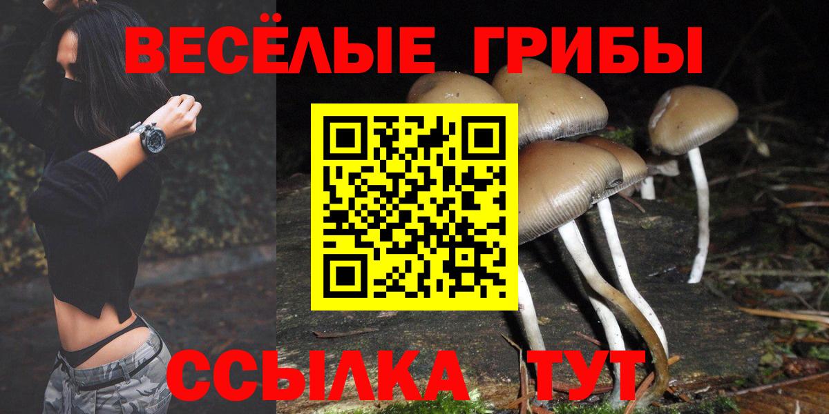 Псилоцибиновые грибы прущие грибы Калач-на-Дону