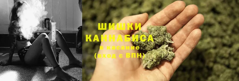 Каннабис Ganja  Калач-на-Дону 